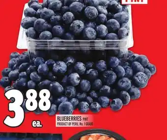 Metro Blueberries offer
