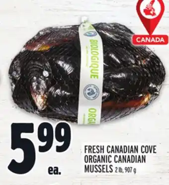 Metro Fresh canadian cove organic canadian mussels offer