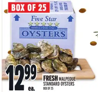 Metro Fresh malpeque standard oysters offer