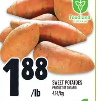 Metro Sweet potatoes offer