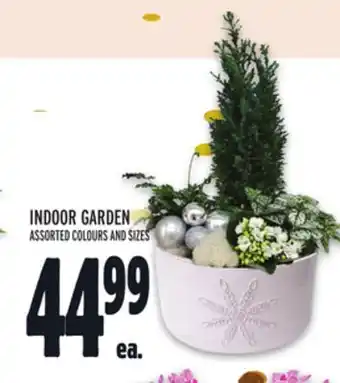 Metro Indoor garden offer