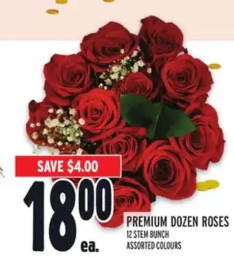 Metro Premium dozen roses offer