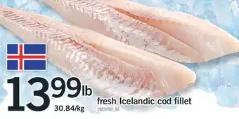 Fortinos Fresh icelandic cod fillet offer