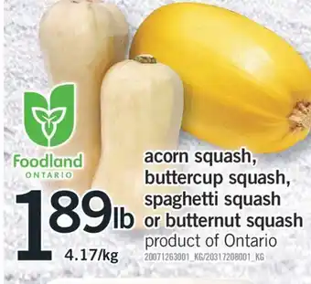 Fortinos Acorn squash, buttercup squash, spaghetti squash or butternut squash offer