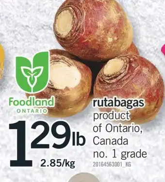 Fortinos Rutabagas offer