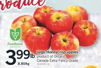 Fortinos Large honeycrisp apples offer