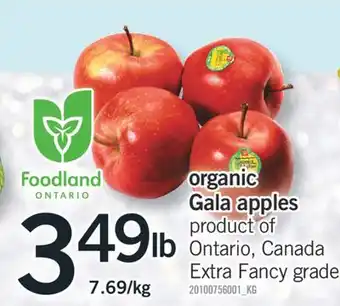 Fortinos Organic gala apples offer