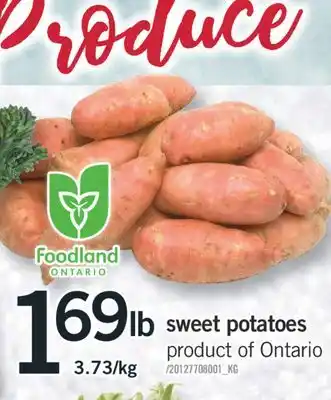 Fortinos Sweet potatoes 3.73/kg offer