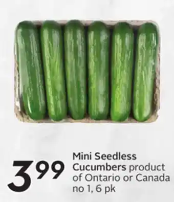 Sobeys Mini seedless cucumbers offer