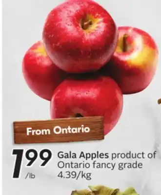 Sobeys Gala apples offer