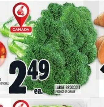 Metro Large Broccoli offer