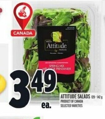 Metro Attitude Salads offer