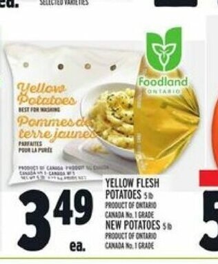 Metro Yellow Flesh Potatoes offer