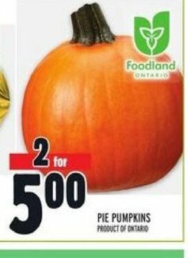 Metro Pie Pumpkins offer