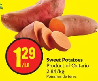 Chalo FreshCo Sweet potatoes product of ontario 2.84/kg offer