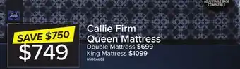 Leon's Sealy posturepedic plus sterling series - callie firm queen mattress offer