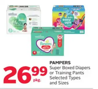 Rexall Pampers super boxed diapers or training pants offer