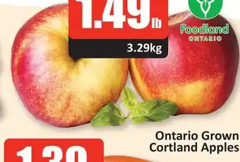 Starsky Ontario grown cortland apples offer