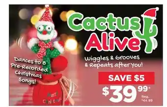Showcase Cactus alive offer