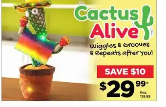 Showcase Cactus alive offer