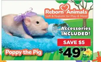 Showcase Poppy the pig offer