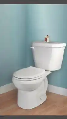 Home Hardware 4.8 l sonoma high efficiency round toilet offer