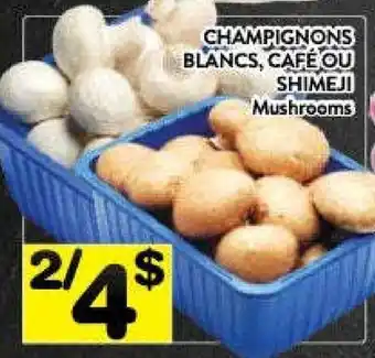 Supermarché PA Shimeji mushrooms offer