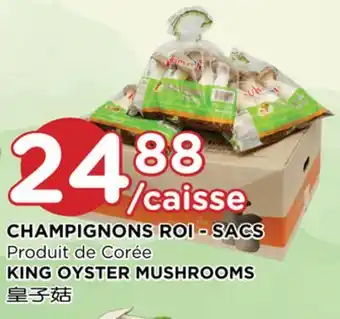 Kim Phat King oyster mushrooms offer
