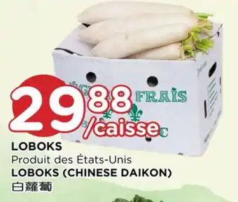 Kim Phat Loboks (chinese daikon) offer