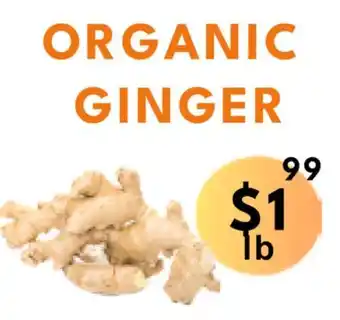 Food World Supermarket Organic ginger offer