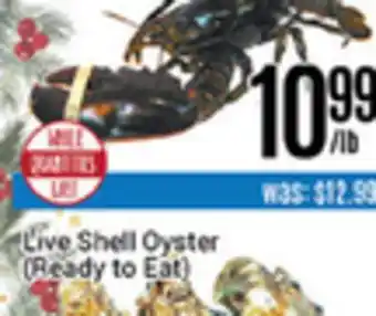 Nations Fresh Foods Live shell oyster offer