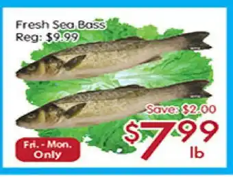 Sunny Food Mart Fresh sea bass offer