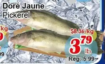 Pickerel