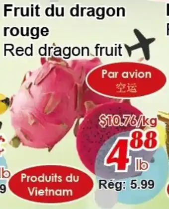 Red dragon fruit