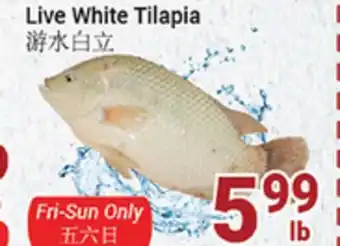 Oceans Fresh Food Market Live white tilapia offer
