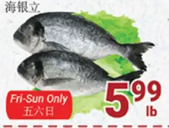 Oceans Fresh Food Market Sea bream size offer