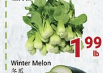 Oceans Fresh Food Market Winter melon offer