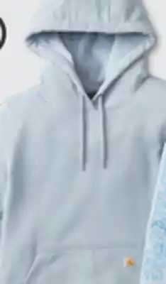 L'équipeur Chandails à capuchon illustrés carhartt pour femmes offer