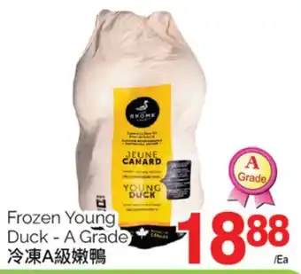 T&T Supermarket Frozen young duck - a grade offer