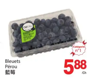 T&T Supermarket Bleuets offer