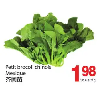 T&T Supermarket Petit brocoli chinois offer