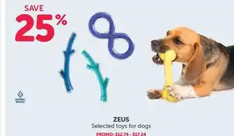 Mondou Zeus selected toys for dogs offer