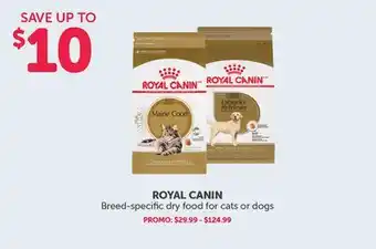 Mondou Royal canin breed-specific dry food for cats or dogs offer