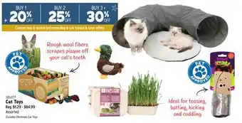 Ren’s Pets Depot Select cat toys offer