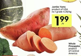 IGA Jumbo yams offer