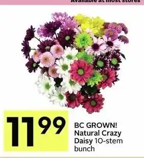 IGA BC grown! natural crazy daisy offer