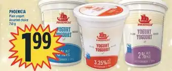 Marché Adonis Phoenicia plain yogurt offer