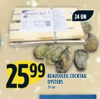 Marché Adonis Beausoleil cocktail oysters offer