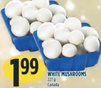 Marché Adonis White mushrooms offer