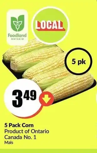 FreshCo 5 Pack corn offer